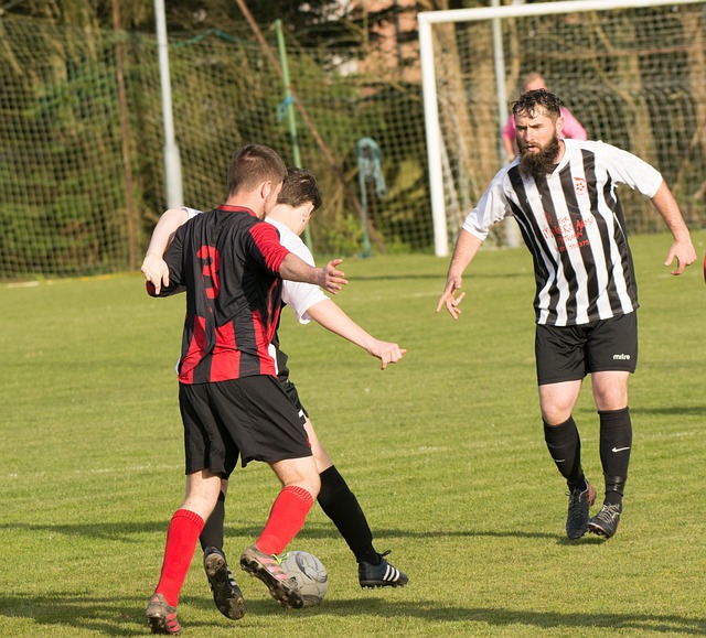 来更多精彩 来更多精彩