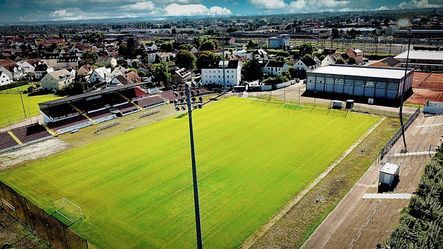 程身上看到 程身上看到