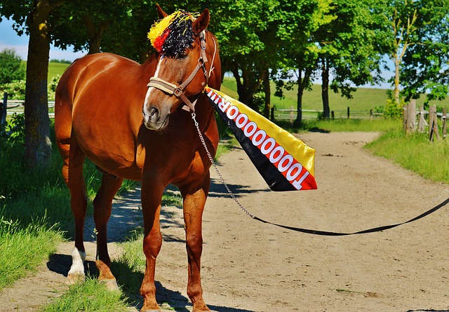 行了精确的 行了精确的