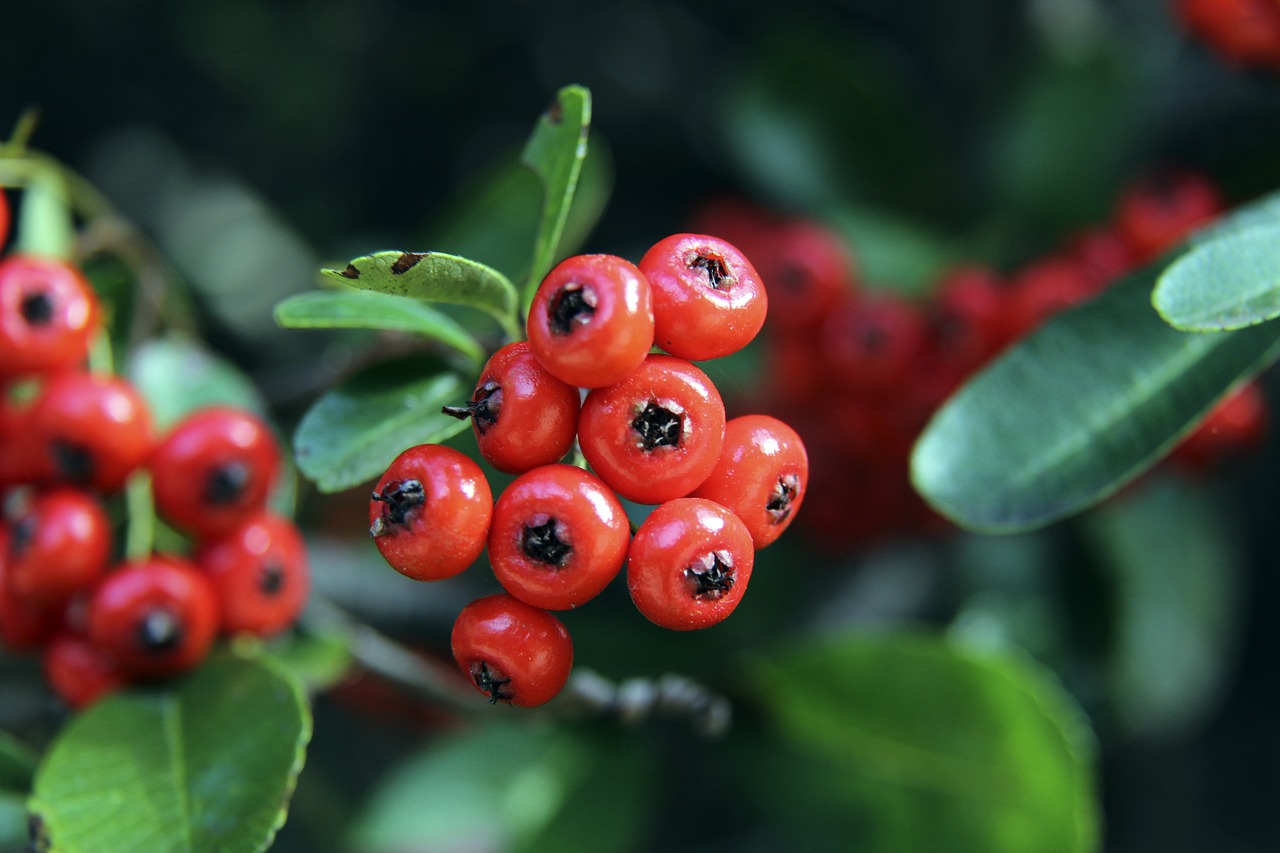 带来了一场 带来了一场