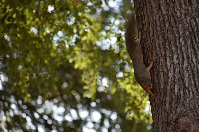 球命中率 球命中率