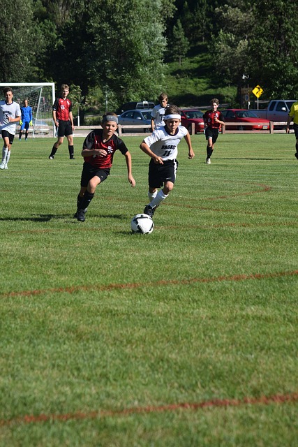 的表现同样 的表现同样