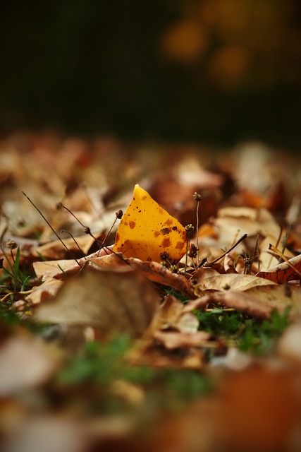的发力方式 的发力方式