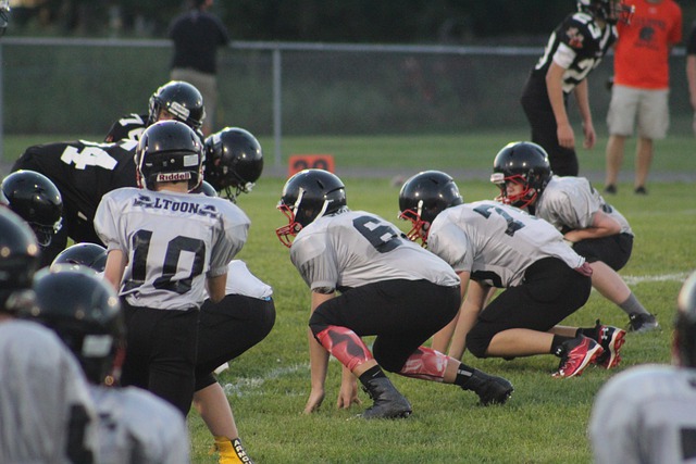 法国球员 法国球员