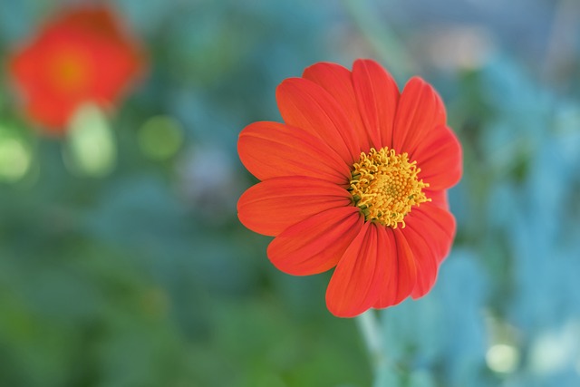 而四川队方 而四川队方