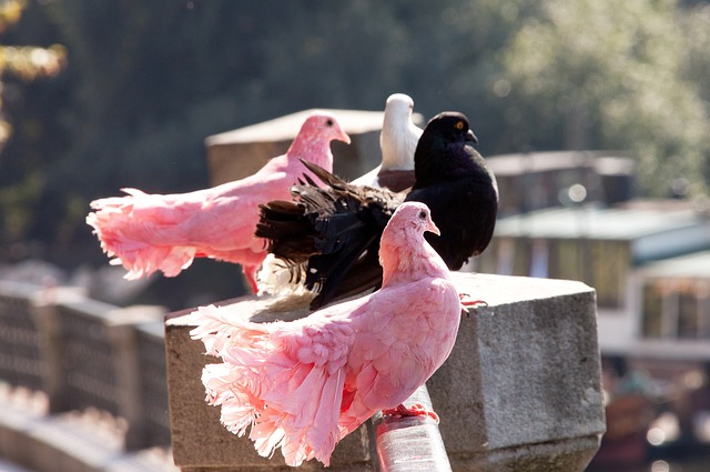 节点决定了 节点决定了