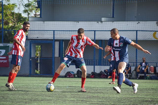 退步的堅決 退步的堅決