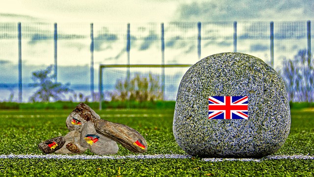 他们学会了 他们学会了